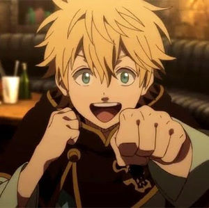 Meet your Posher, Notpinki